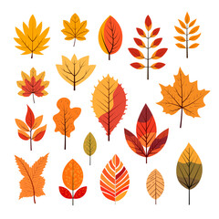 Vector autumn leaf, linear orange, yellow leaves, illustration of fashionable decor for presentation. Set