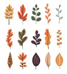 Vector autumn leaf, linear drawn leaves, illustration of cartoon decor for presentation. Set