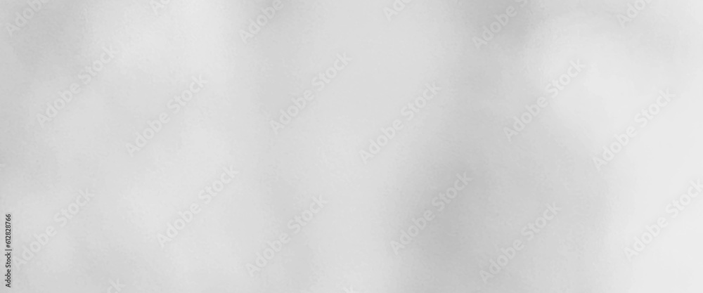 Poster abstract luxury white gradient background used for display product ad and website template, gray bac