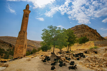 Besni district of Adıyaman is an old and historical city. Old mosques and bridges are still standing.