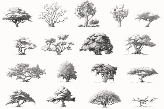 tree sketches, silhouette tree vector element