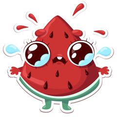 Vector illustration watermelon character sticker