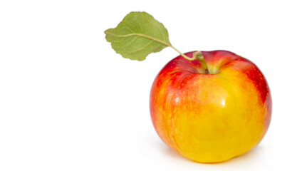Apple on a white background. The world would be different if Adam was allergic to apples