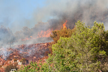 Flammes et fumées d'un incendie en milieu forestier à proximité des habitations
