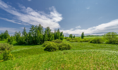 Spring photography, landscape with a cloudy sky. water meadows, floodplains, ravines. an area of...