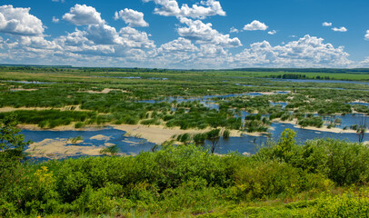summer photography, a river overgrown with reeds, blue sky with white clouds, blue water covered...