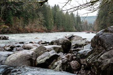 Rocks on a river bank in the forest, Pacific Northwest