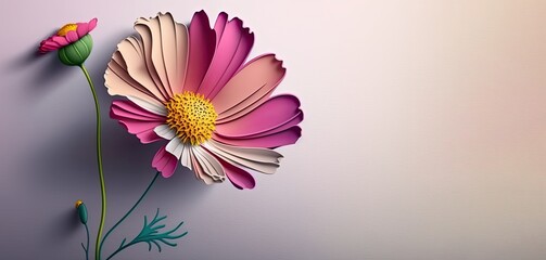 Cosmos flower - cute colorful flower with copy space for text massages, greeting, horizontal wishes banner, 3d render floral background