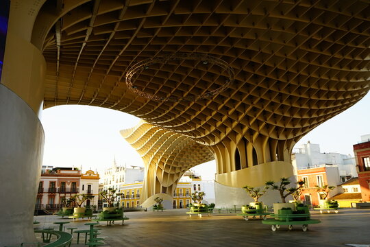 Metropol Parasol / Setas in Seville at the sunset, Andalucia, Spain. May 2023