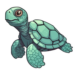 Cute turtle on white background