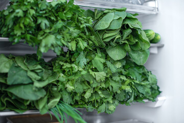 Green fresh environmentally friendly greens of parsley plants and other plant foods lies in a modern refrigerator in Home. Vegan food.