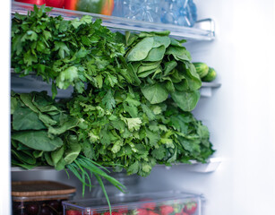 Green fresh environmentally friendly greens of parsley plants and other plant foods lies in a modern refrigerator in Home. Vegan food.