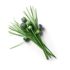 Chives isolated on white background. Generative AI