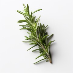 Fototapeta premium Rosemary isolated on white background. Generative AI