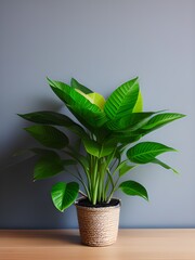 green plant in a ceramic bowl on a light background.