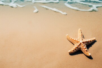 Fototapeta na wymiar Photo starfish in sand. Generative AI