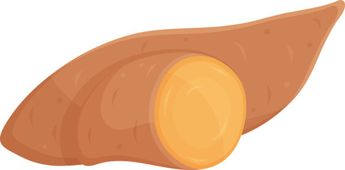 color vector illustration of sweet potatoes, greens and vegetables, spices and herbs, vitamin a