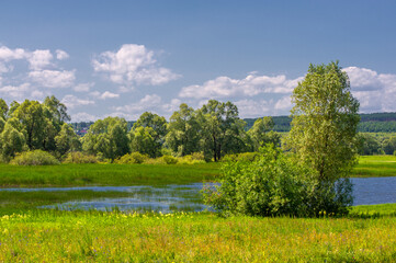 Summer landscape, river floodplain, picturesque shores, bright green grass with wild wildflowers, blue sky with white clouds, summer tender warm days,