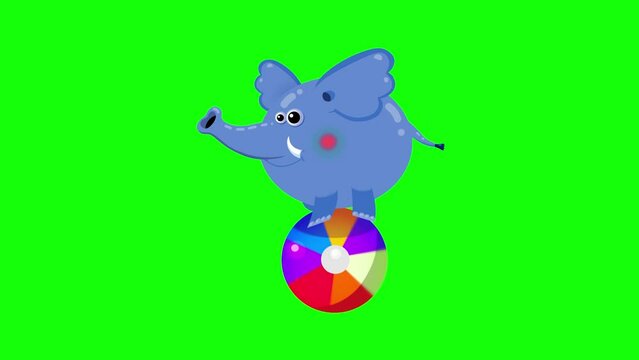 Cartoon character circus elephant on a color ball greenbox. Animal animation good for education, fairy tales, illustration, etc... Cute intro frame included, seamless loop. 
