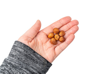 Nut Kernels, Hazelnuts Pile Isolated, Healthy Organic Nuts Group, Nut Kernels on White