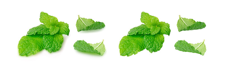 Mint Leaf Isolated, Fresh Menthol Leaves, Green Spearmint, Menthol Herb, Mint Leaf