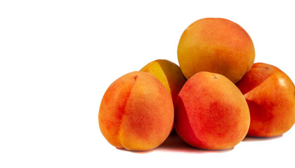 Apricot. A rare heritage variety from England in the early 1800s. The fruits are small to medium and have a very "apricot" flavor. Bright orange flesh, juicy and sweet when ripe, stone.