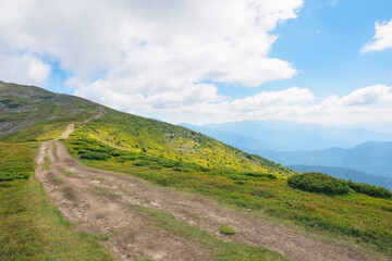hiking trail through carpathian mountains. summer nature scenery with beautiful views and open vistas in the distance