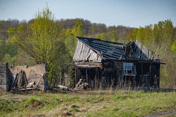 Ruins of an old wooden house in the village. Springtime