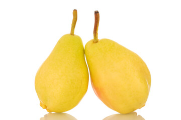 Two bright yellow pears, macro, isolated on white background.