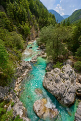 wild canyon with cristal clear turquoise water in the Soca valley, Trigalv National Park near...