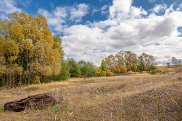 Fototapeta na wymiar Autumn landscape photo. Mixed forests, meadows, ravines, cloudy sky, wonderful season.