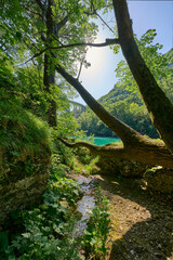 wild canyon with cristal clear turquoise water in the Soca valley, Trigalv National Park near Bovec, Slovenia