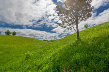 Spring photography, meadows, fields, ravines, hills, rural landscape. A deep, narrow gorge with...