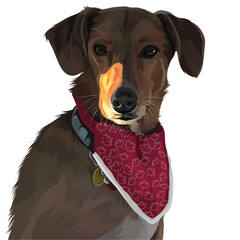 portrait of a dog with red bandana