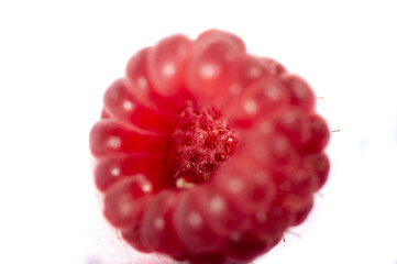 Raspberry. it is a healthy, tasty berry that consumers should enjoy during the summer months....