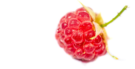 Raspberry. it is a healthy, tasty berry that consumers should enjoy during the summer months. Raspberries are a powerful source of nutrients including vitamin C, manganese,