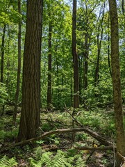 Landscapes in Massachusetts USA