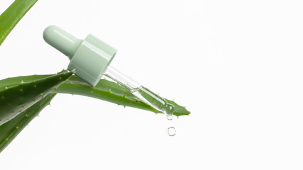 Cosmetic pipette with serum, gel, or serum on aloe vera leaves