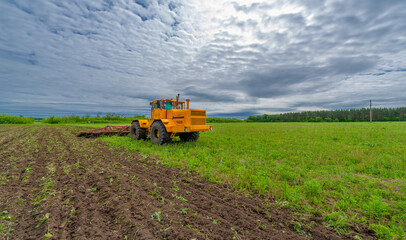 Spring photography, landscape with agricultural machinery, a tractor plows the land, plows a field, birds fly over arable land