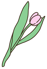 tulip hand draw, pastel color