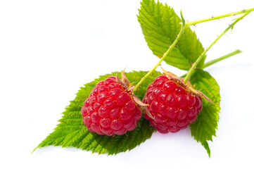 Raspberries are an excellent source of vitamin C, manganese and dietary fiber. They are also a very good source of copper and vitamin K, pantothenic acid, biotin, magnesium, folic acid.