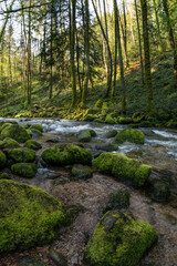 Geroldsauer Wasserfälle Baden Baden 