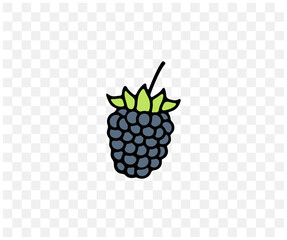 Blackberry, bramble, dewberry, plant and food, colored graphic design. Berry, berries, fruit and meal, agriculture and agricultural, vector design and illustration