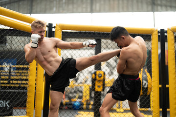 Athletes men boxers MMA fighter fight in a cage boxing ring octagon. Boxer kickboxing training in...