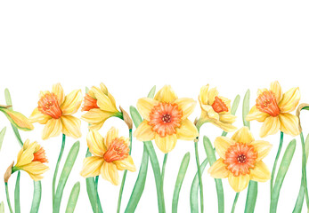 Seamless horizontal pattern with yellow blooming daffodils and green leaves and stems. Spring colorful border. Hand-drawn watercolor illustration. Floral design for fabric, packa