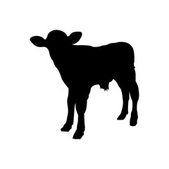 silhouette of a calf