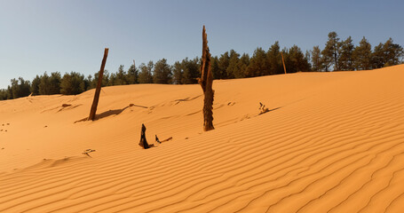 Desert sand - logs, grass and sky. Generative AI illustration