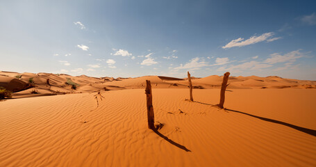 Desert sand - logs, grass and sky. Generative AI illustration