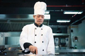 Experienced chef is cooking in a large kitchen in a famous restaurant.