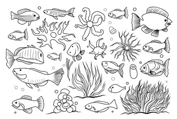 Underwater life coloring page. cartoon elements of the seabed linear illustration for coloring